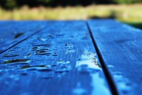 /album/hej/img-7135-jpg/