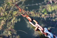 /album/hej/img-7141-jpg/