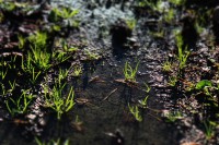 /album/hej/img-7156-jpg/