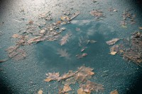 /album/en-hostdag/img-4290-jpg/