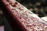 /album/en-hostdag/img-4294-jpg/