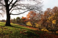 /album/en-hostdag/img-4297-jpg/