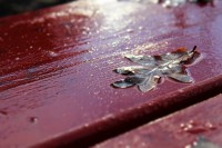 /album/en-hostdag/img-4305-jpg/