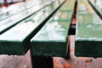 /album/en-hostdag/img-4307-jpg/