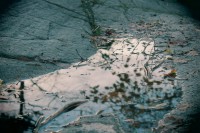 /album/en-hostdag/img-4308-jpg/