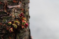 /album/kungstradg%c3%a5rden/img-8002-jpg/