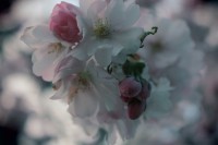 /album/kungstradg%c3%a5rden/img-8007-jpg/