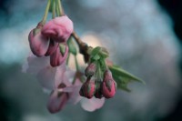 /album/kungstradg%c3%a5rden/img-8009-jpg/