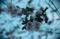 /album/kungstradg%c3%a5rden/img-8013-jpg/