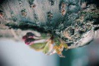 /album/kungstradg%c3%a5rden/img-8014-jpg/