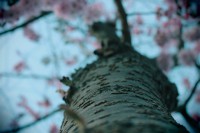 /album/kungstradg%c3%a5rden/img-8015-jpg/