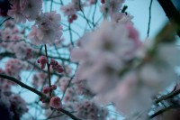 /album/kungstradg%c3%a5rden/img-8016-jpg/