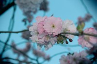 /album/kungstradg%c3%a5rden/img-8017-jpg/