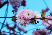 /album/kungstradg%c3%a5rden/img-8018-jpg/