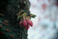 /album/kungstradg%c3%a5rden/img-8020-jpg/