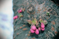 /album/kungstradg%c3%a5rden/img-8021-jpg/