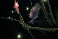 /album/p%c3%a5sk-i-dalarna/img-8049-jpg/