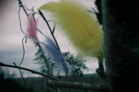 /album/p%c3%a5sk-i-dalarna/img-8263-jpg/