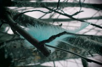 /album/p%c3%a5sk-i-dalarna/img-8264-jpg/