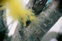 /album/p%c3%a5sk-i-dalarna/img-8265-jpg/