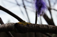 /album/p%c3%a5sk-i-dalarna/img-8266-jpg/