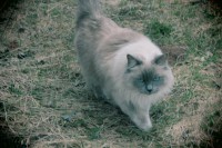 /album/orsa/img-8260-jpg/