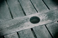 /album/orsa/img-8261-jpg/