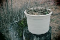 /album/orsa/img-8262-jpg/