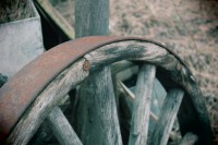 /album/orsa/img-8271-jpg/