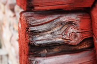 /album/orsa/img-8272-jpg/