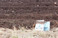 /album/orsa/img-8274-jpg/