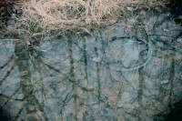 /album/orsa/img-8277-jpg/