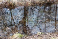 /album/orsa/img-8278-jpg/