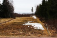 /album/orsa/img-8280-jpg/