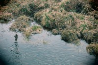 /album/orsa/img-8281-jpg/