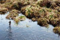 /album/orsa/img-8282-jpg/