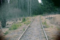 /album/orsa/img-8287-jpg/