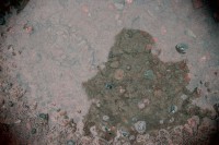 /album/orsa/img-8290-jpg/