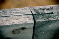 /album/orsa/img-8291-jpg/