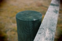 /album/orsa/img-8293-jpg/