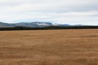 /album/orsa/img-8294-jpg/