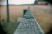 /album/orsa/img-8295-jpg/