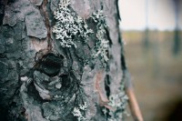 /album/orsa/img-8298-jpg/