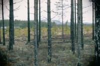 /album/orsa/img-8299-jpg/