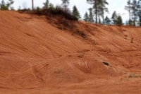 /album/orsa/img-8302-jpg/