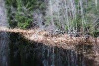 /album/orsa/img-8304-jpg/