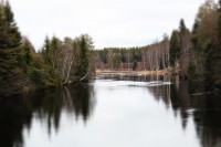 /album/orsa/img-8308-jpg/