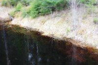 /album/orsa/img-8309-jpg/