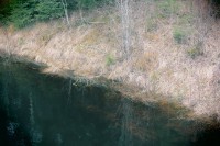 /album/orsa/img-8310-jpg/