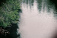 /album/orsa/img-8311-jpg/